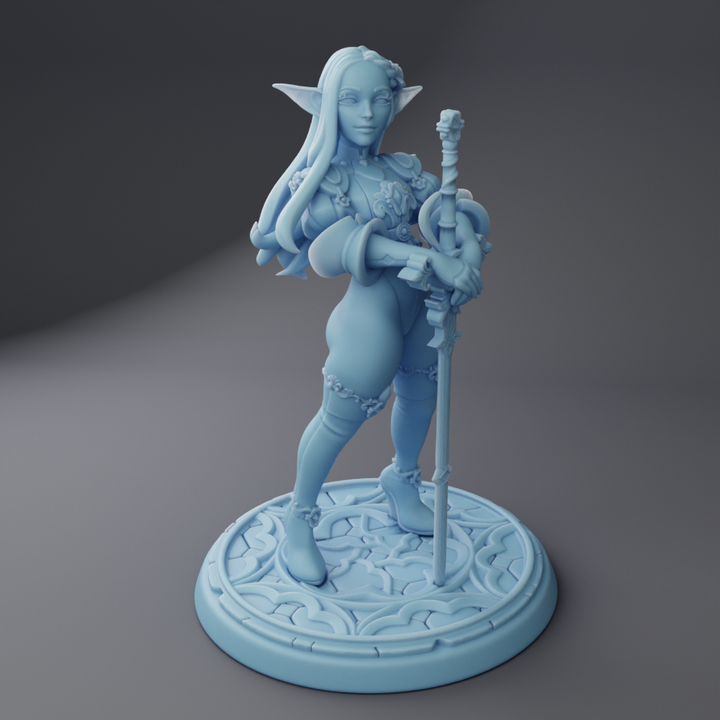 Melrissa the Elven Paladin