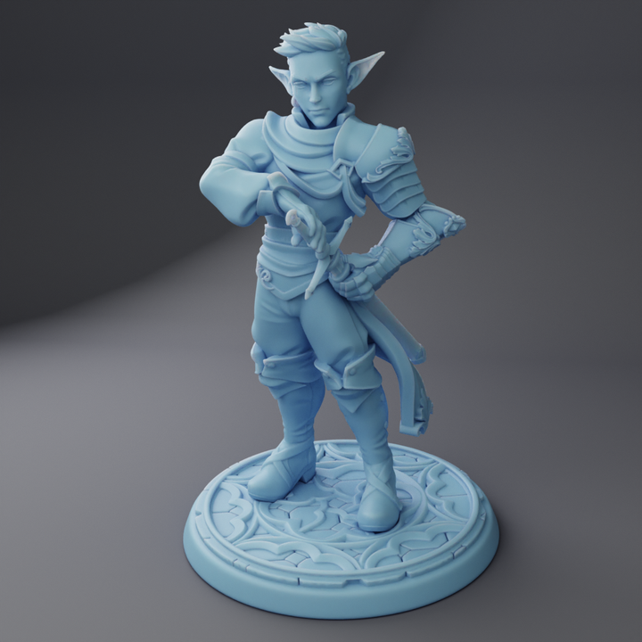 Marshall the Elven Fighter