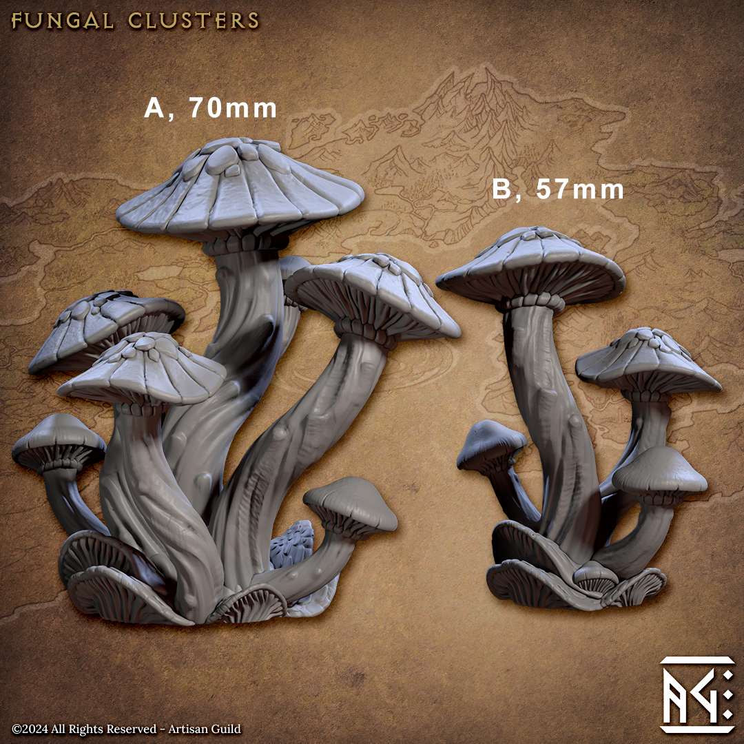 Fungal Clusters