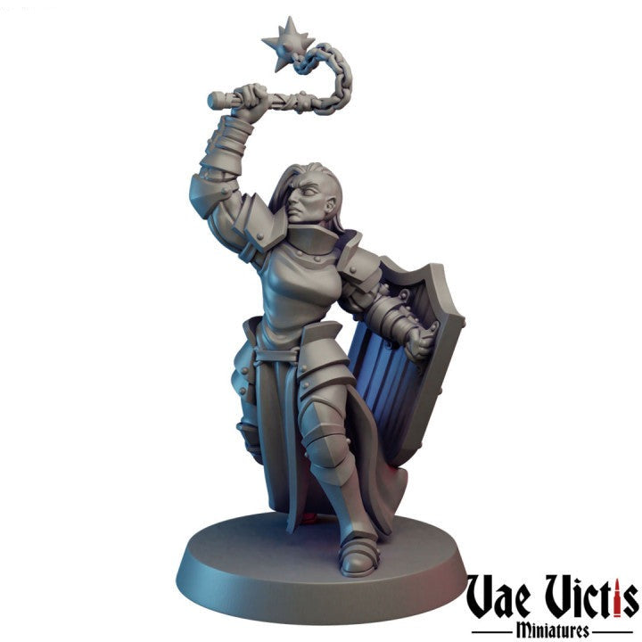 Half Orc Paladin Miniature