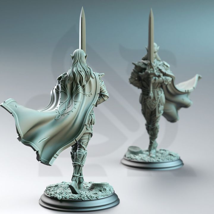 Le roi