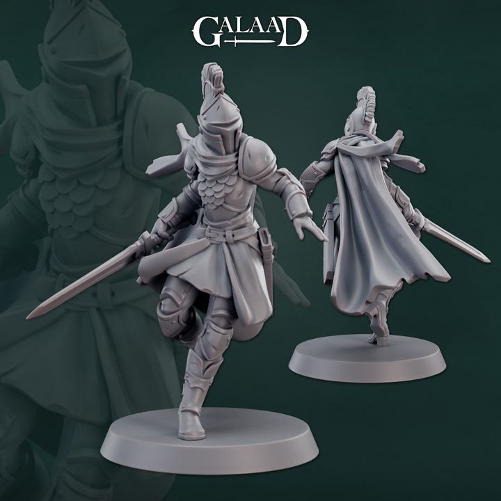 Female Knight Sword Fighter 02
