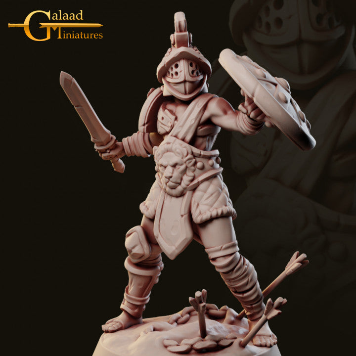 Arena Fighter-Swordman 02