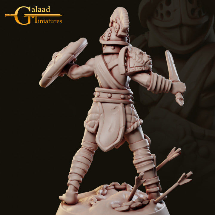 Arena Fighter-Swordman 02
