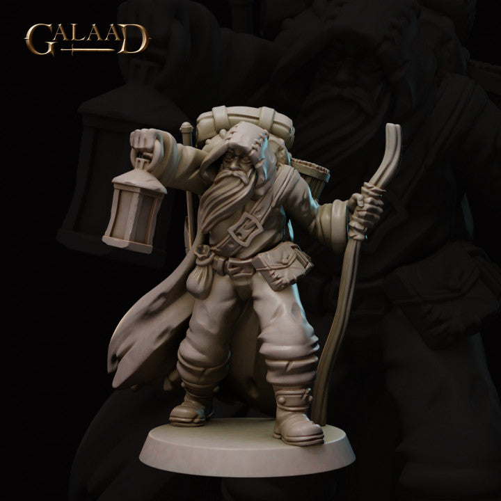 Merchant Traveler