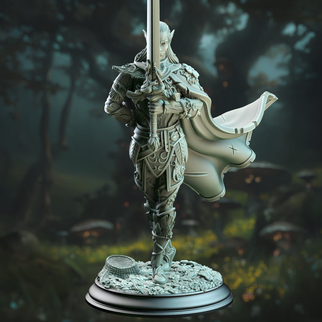 Le roi