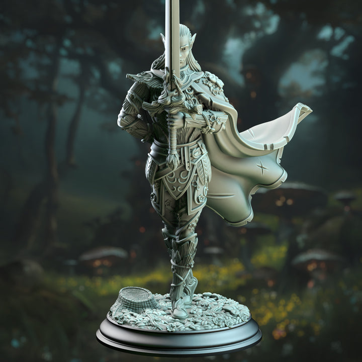 Le roi