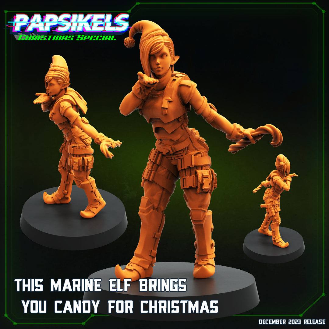 Christmas Marine Elf
