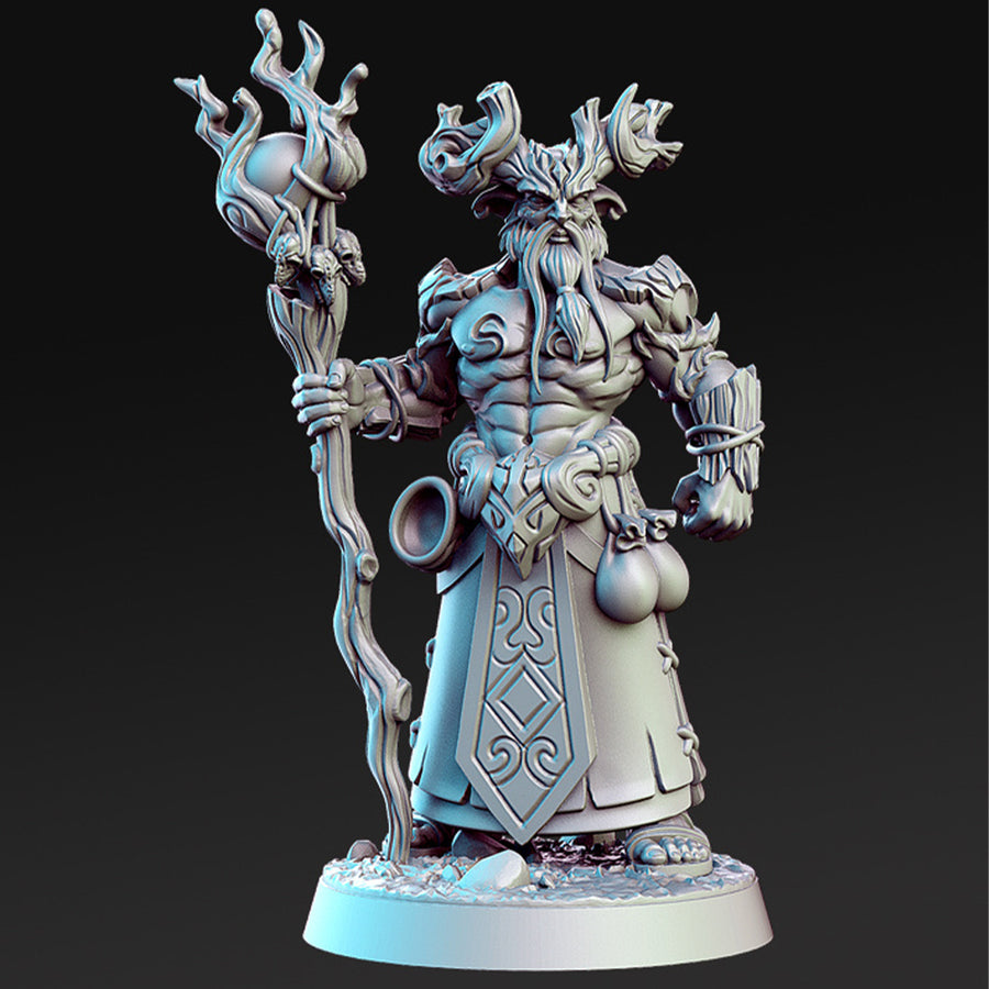 Aerlin Druid Fantasy Minis DnD Warhammer Roleplaying RPG Pathfinder D&D
