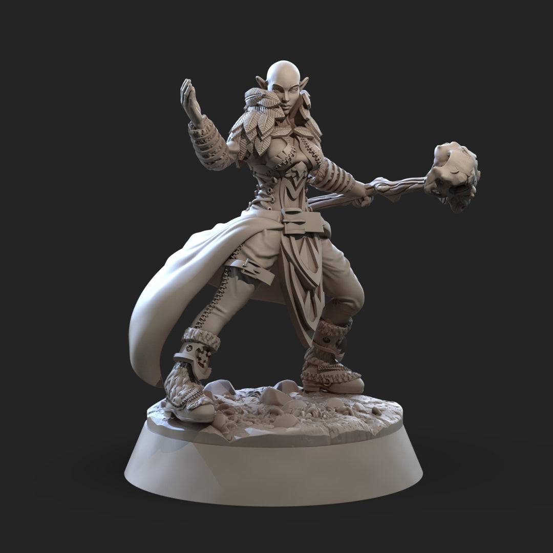 Yenvl - Druide Elfe B