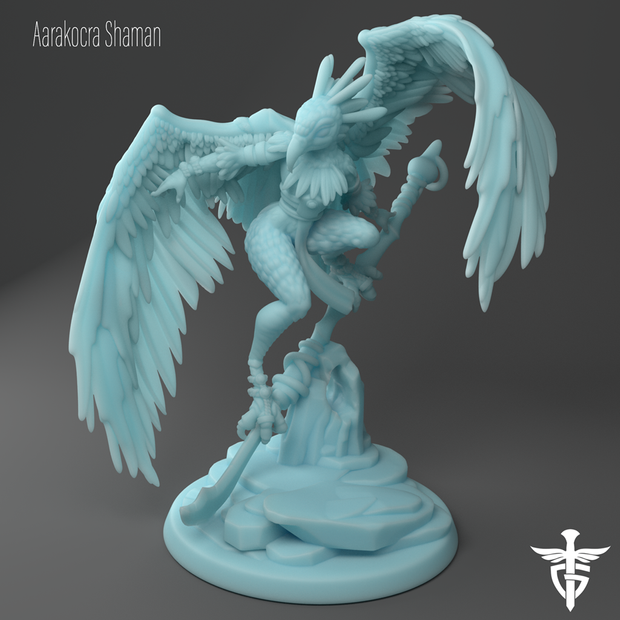 Aarakocra Shaman Fantasy Minis DnD Warhammer Roleplaying  RPG D&D