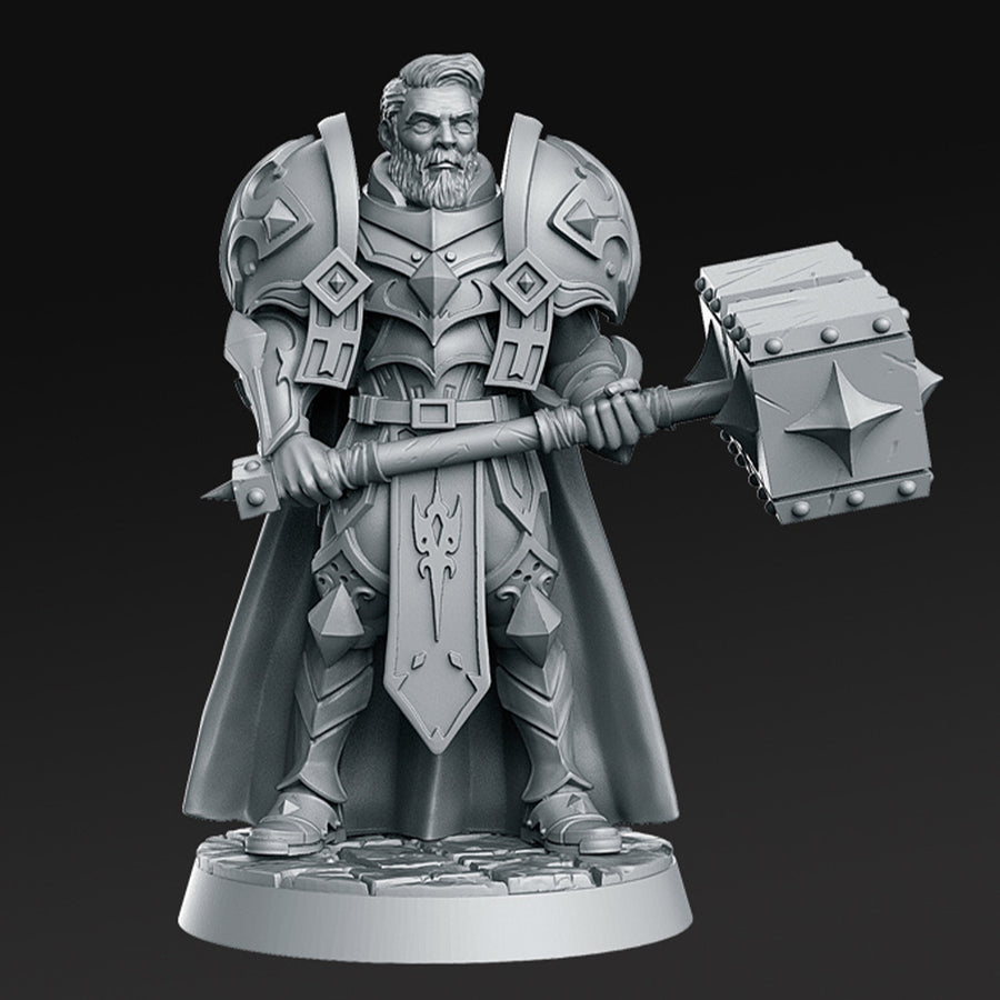 Sir Warrick Male Paladin Fantasy Minis DnD Warhammer Roleplaying RPG