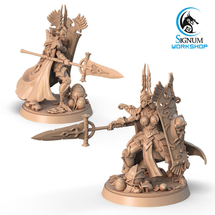 Gallror, Dark Elf Warrior