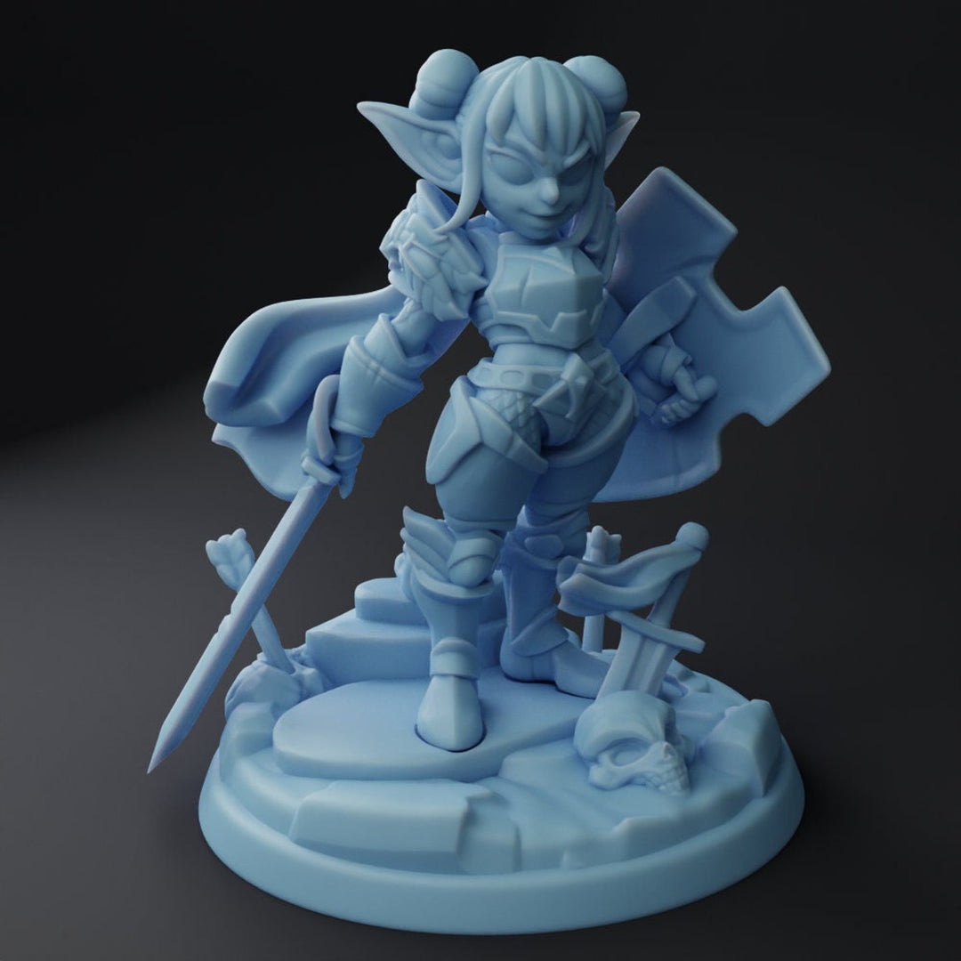 Pinte le Paladin