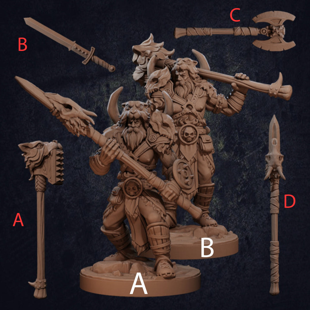 Vaultamir Viking Barbarian - SYZGames