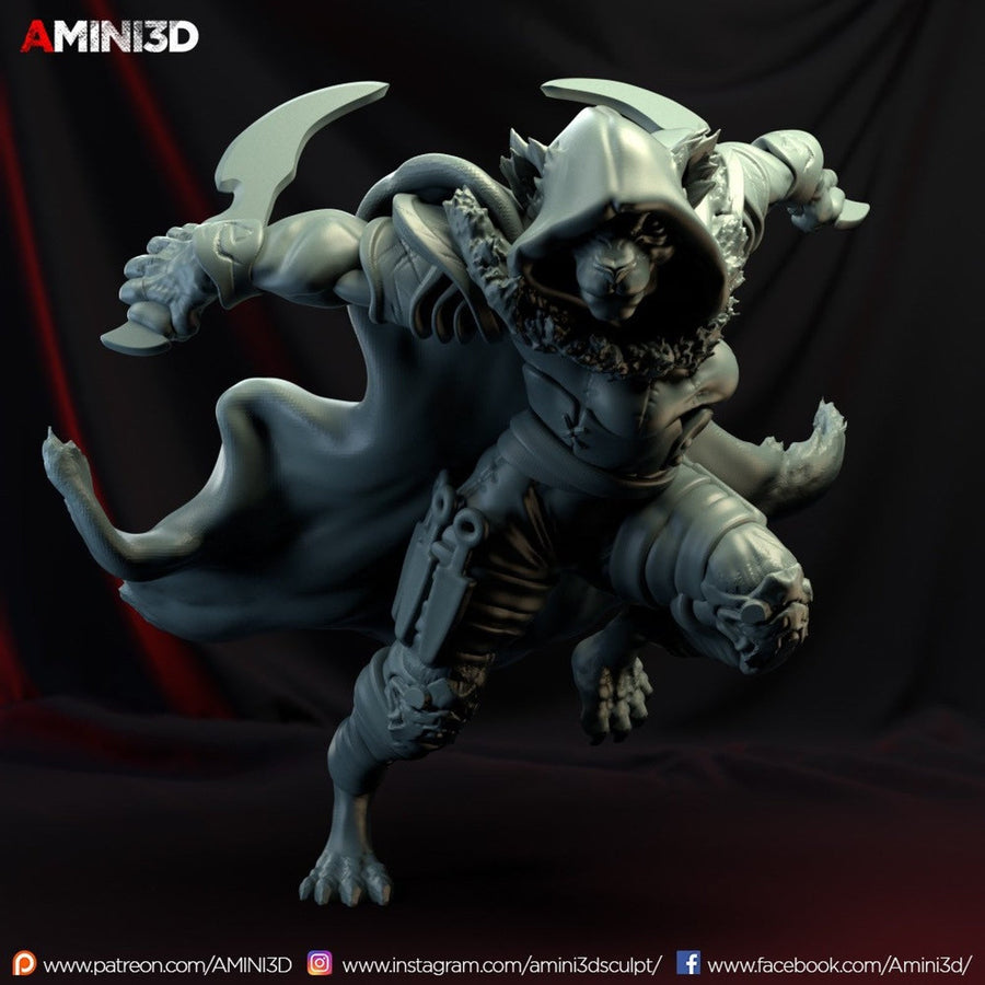 Tabaxi Rogue, Female - SYZGames