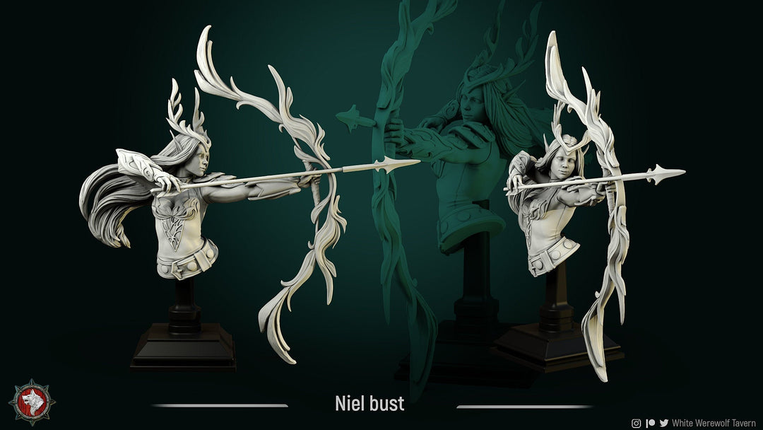 Buste de Niel