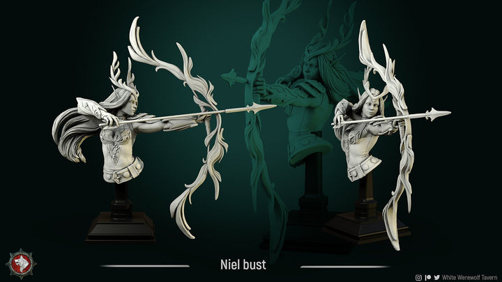 Buste de Niel