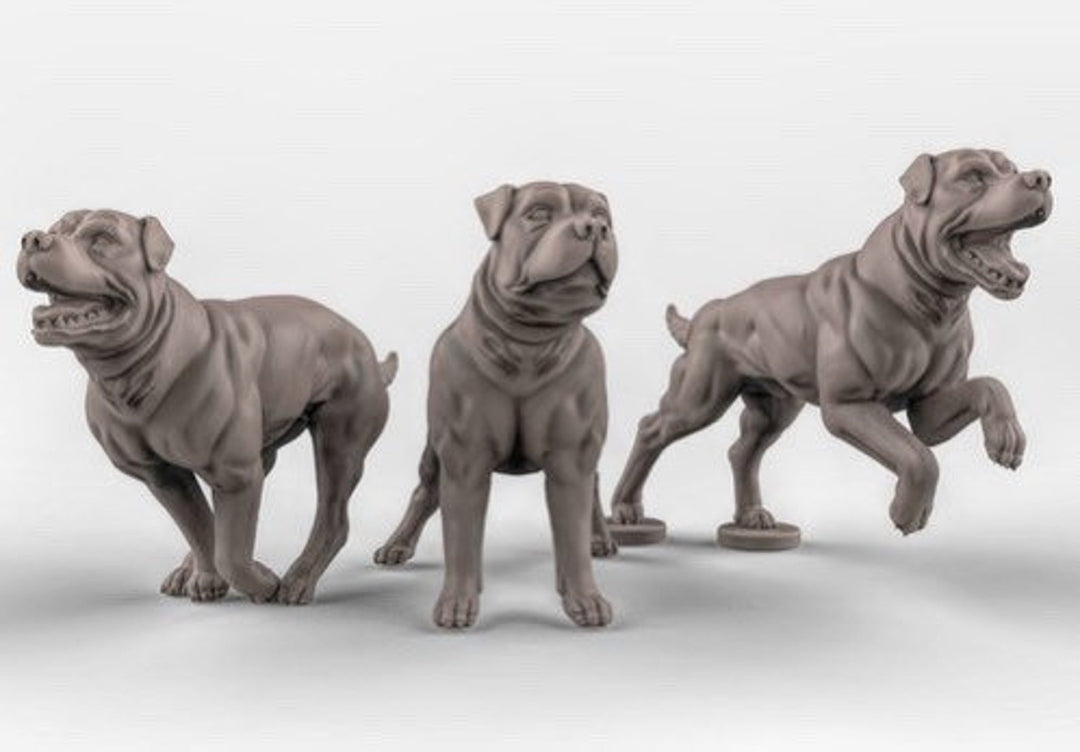 Chiens