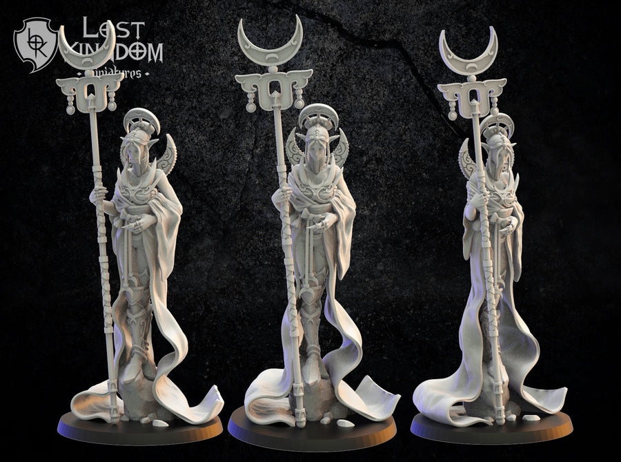 Kaguya, Moonlight Priestess | Fantasy Miniature | Dungeons and Dragons | DND | Tabletop Game | RPG | Lost Kingdom Miniature