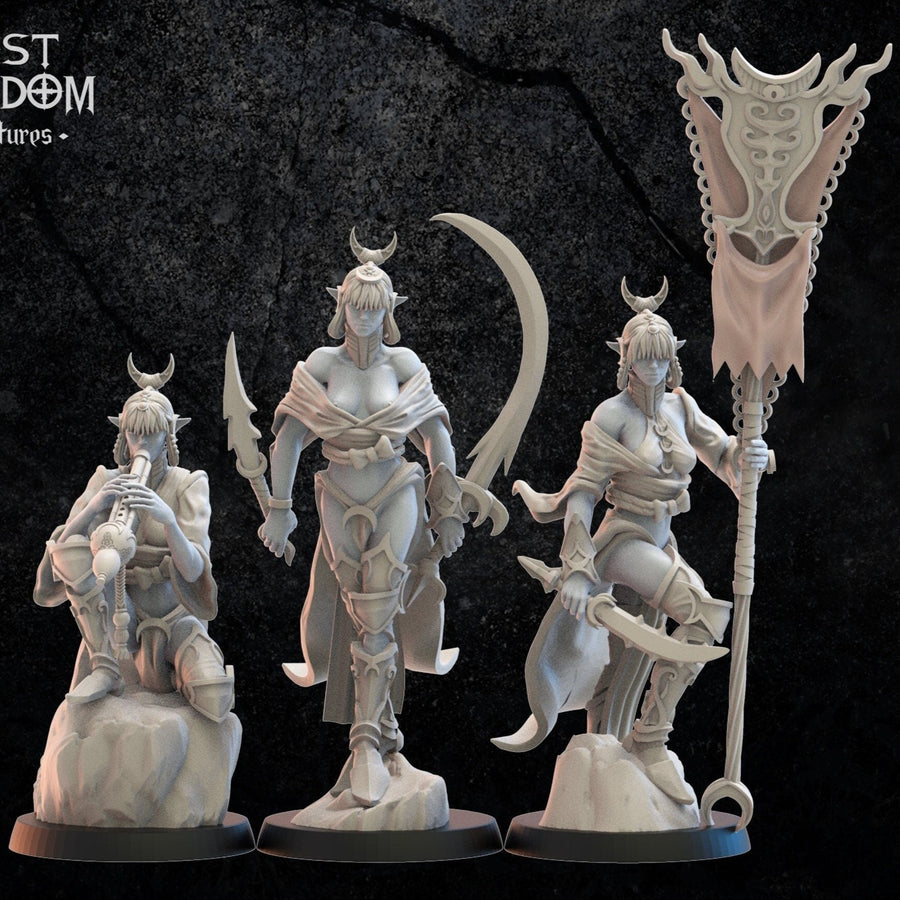 Onna Bugheisa CG | Fantasy Miniature | Dungeons and Dragons | DND | Tabletop Game | RPG | Lost Kingdom Miniature