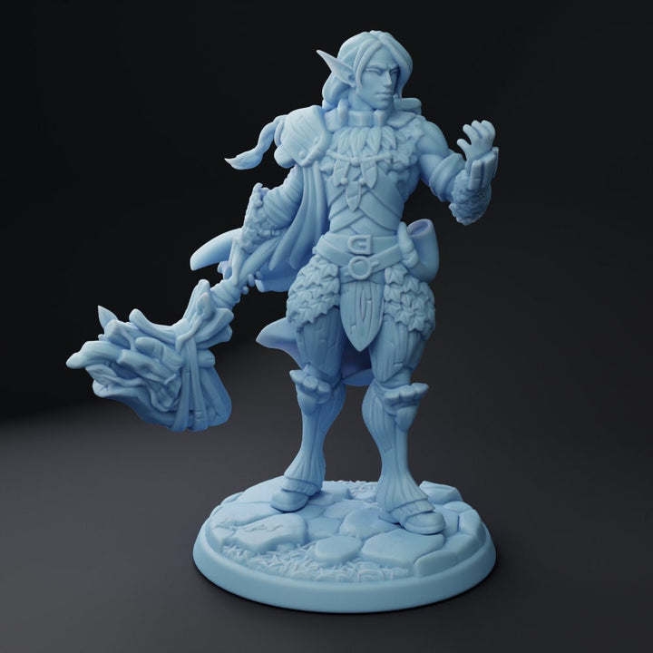 Phaeden, the Elven Oath of Ancients Paladin | Fantasy Miniature | DnD Miniature | Twin Goddess