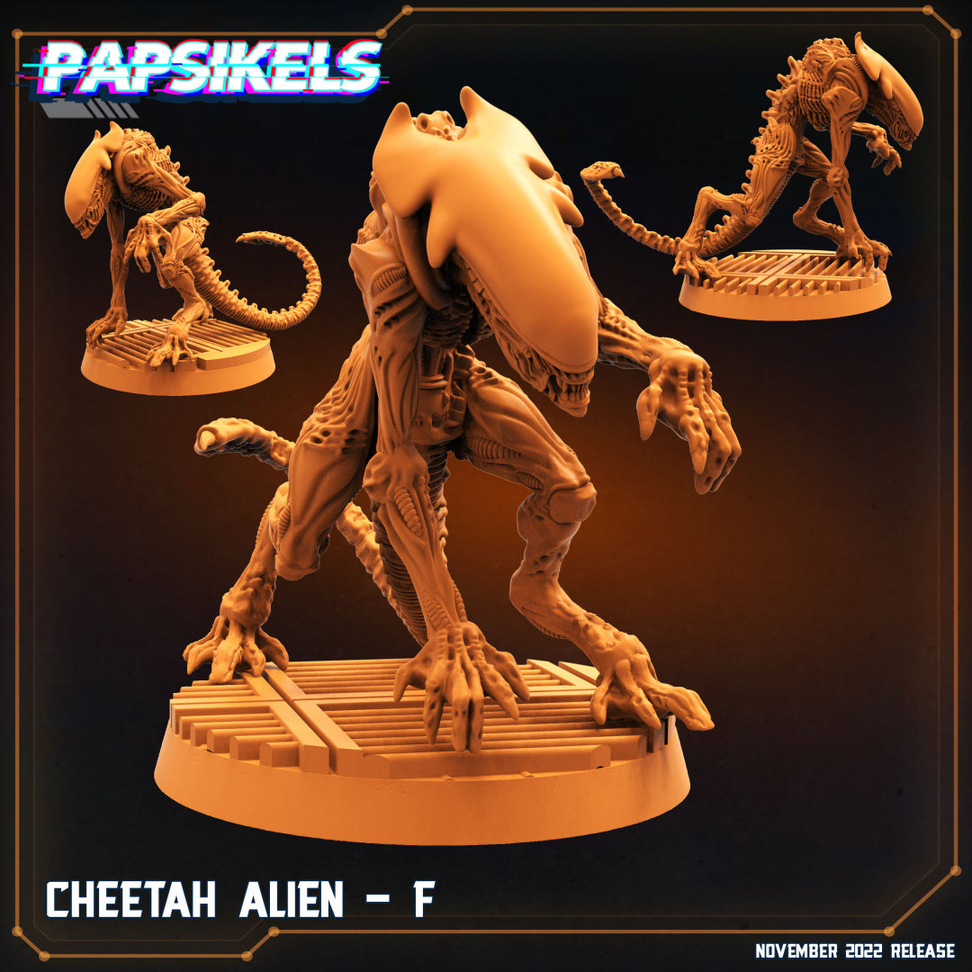 Cheetah Alien-F