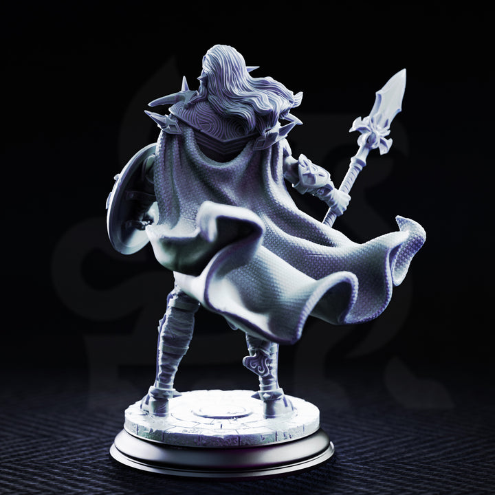 Drow Elite Warriors of the Spider - Soldier 1 back