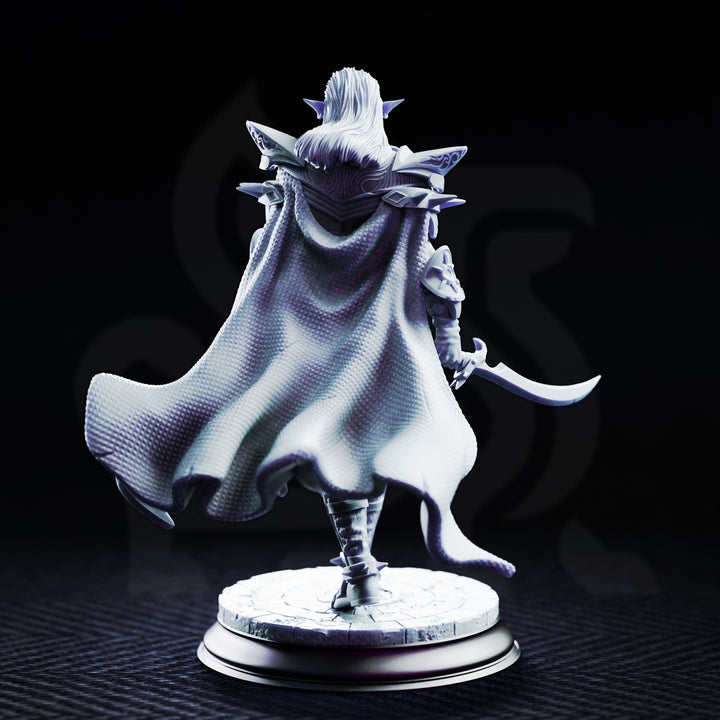 Drow Elite Warriors of the Spider - Soldier 2 back