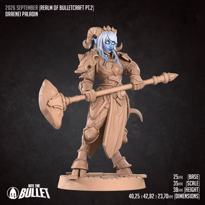 Draenei Paladin detail view