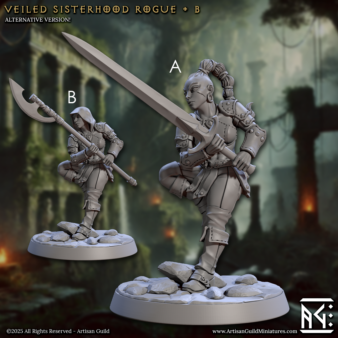 Veiled Sisterhood Rogue B