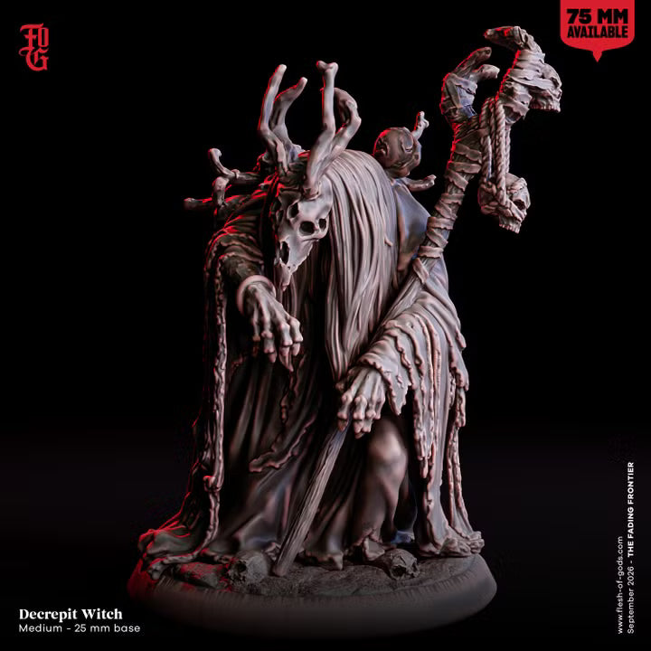 Decrepit Witch miniature front view