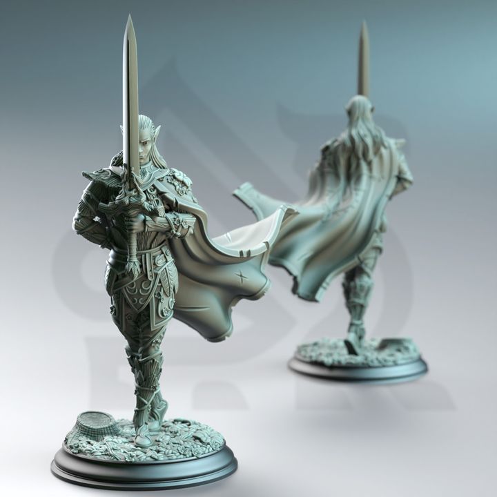 Fey Elf Duelist-Alysion of the Spotless Wood