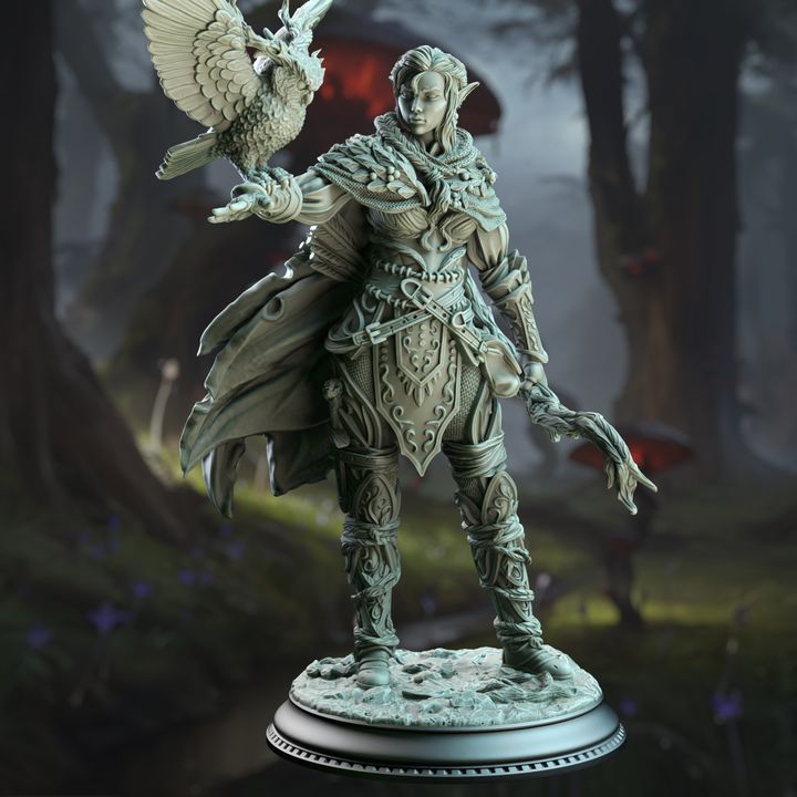 Le roi