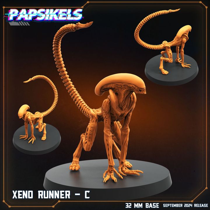 Xeno Runner C