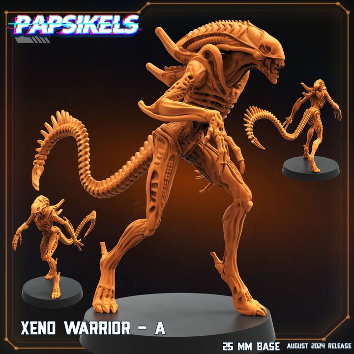 Xeno Neugeborenes 3