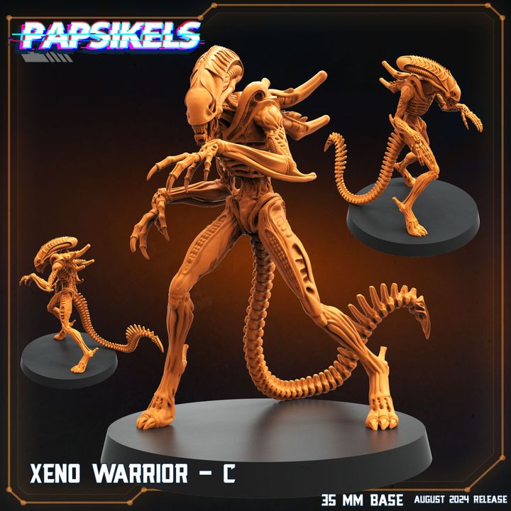 Xeno Warrior C