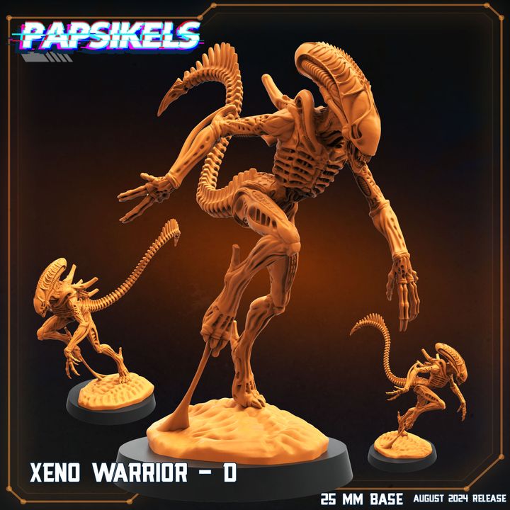 Xeno Neugeborenes 3