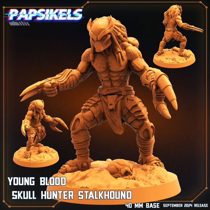 Gestionnaire Vixen Skull Hunter