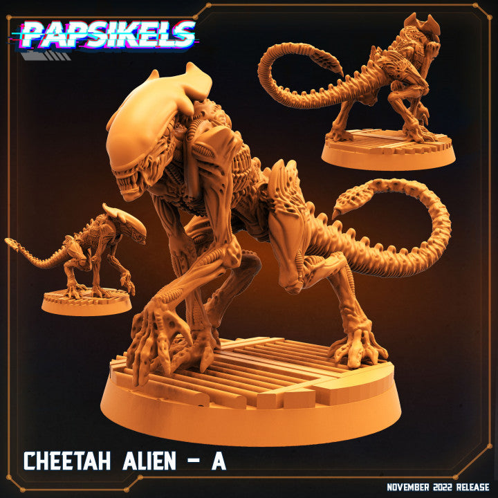 Cheetah Alien-A