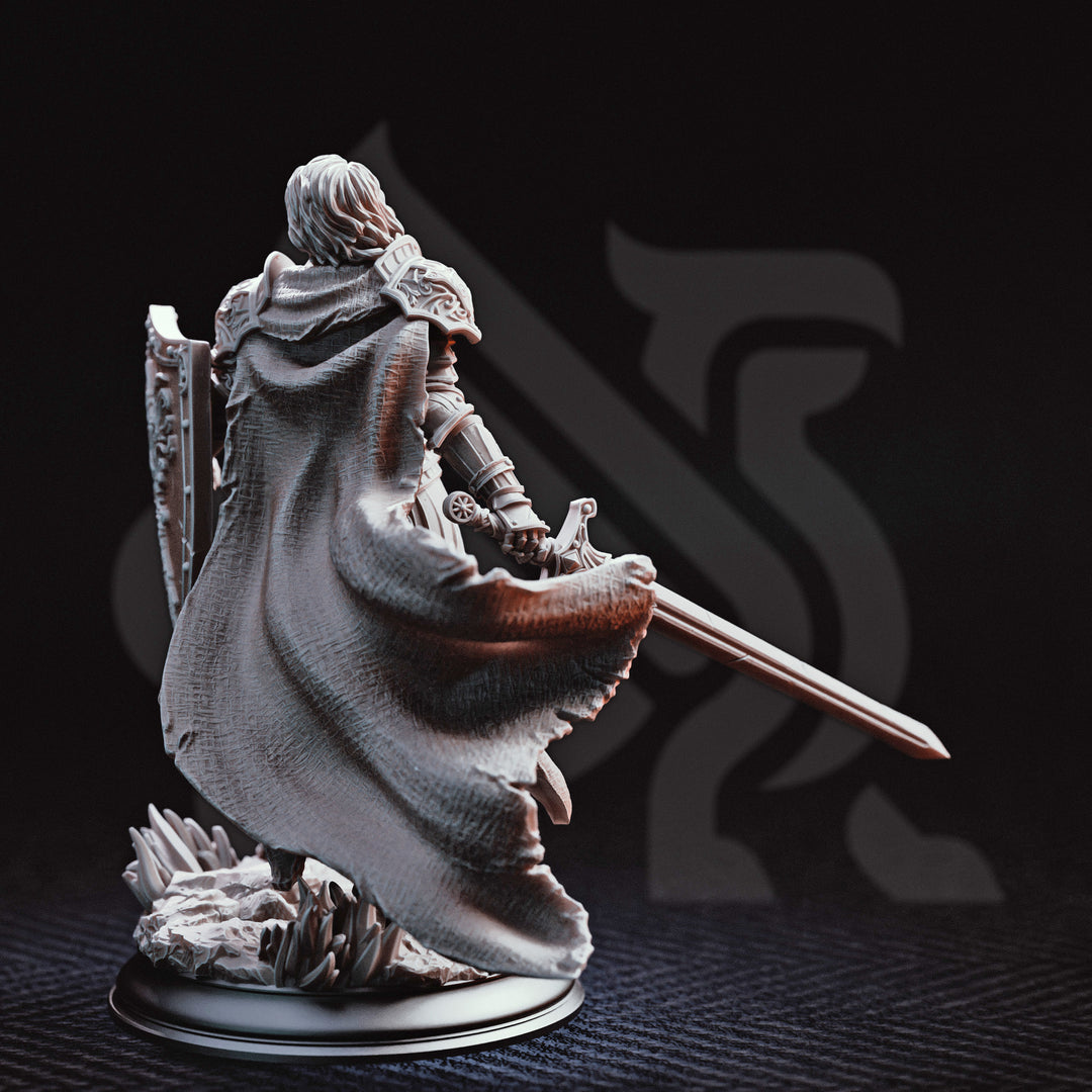 Le roi