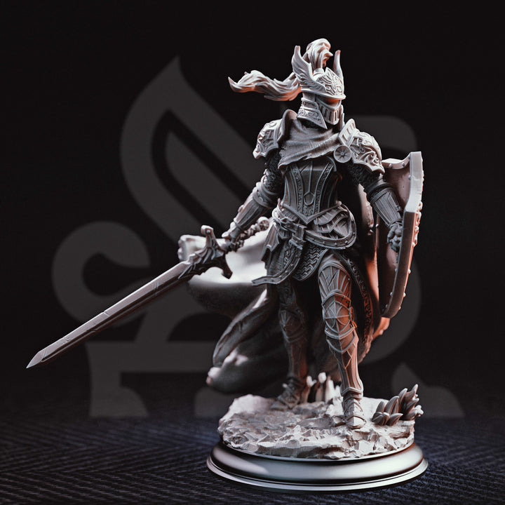 Le roi