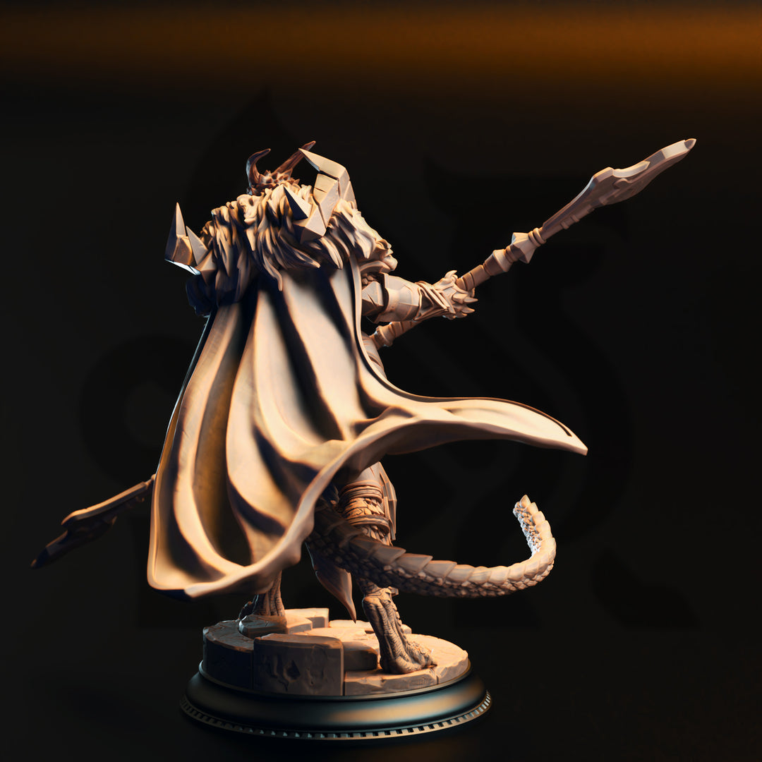 Silver Dragonborn Paladin-Apokris the Resolute