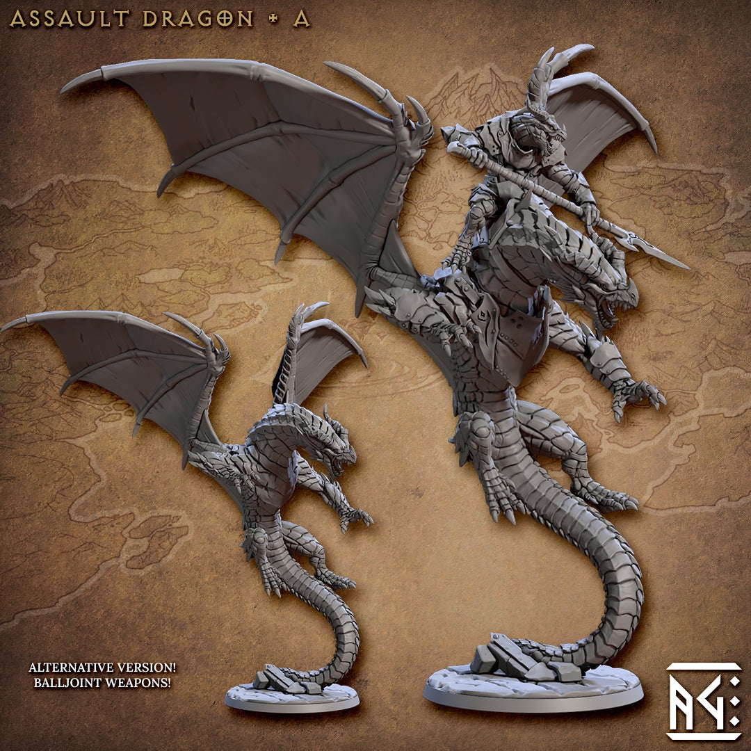 Assalut Dragon & Dragonrider A