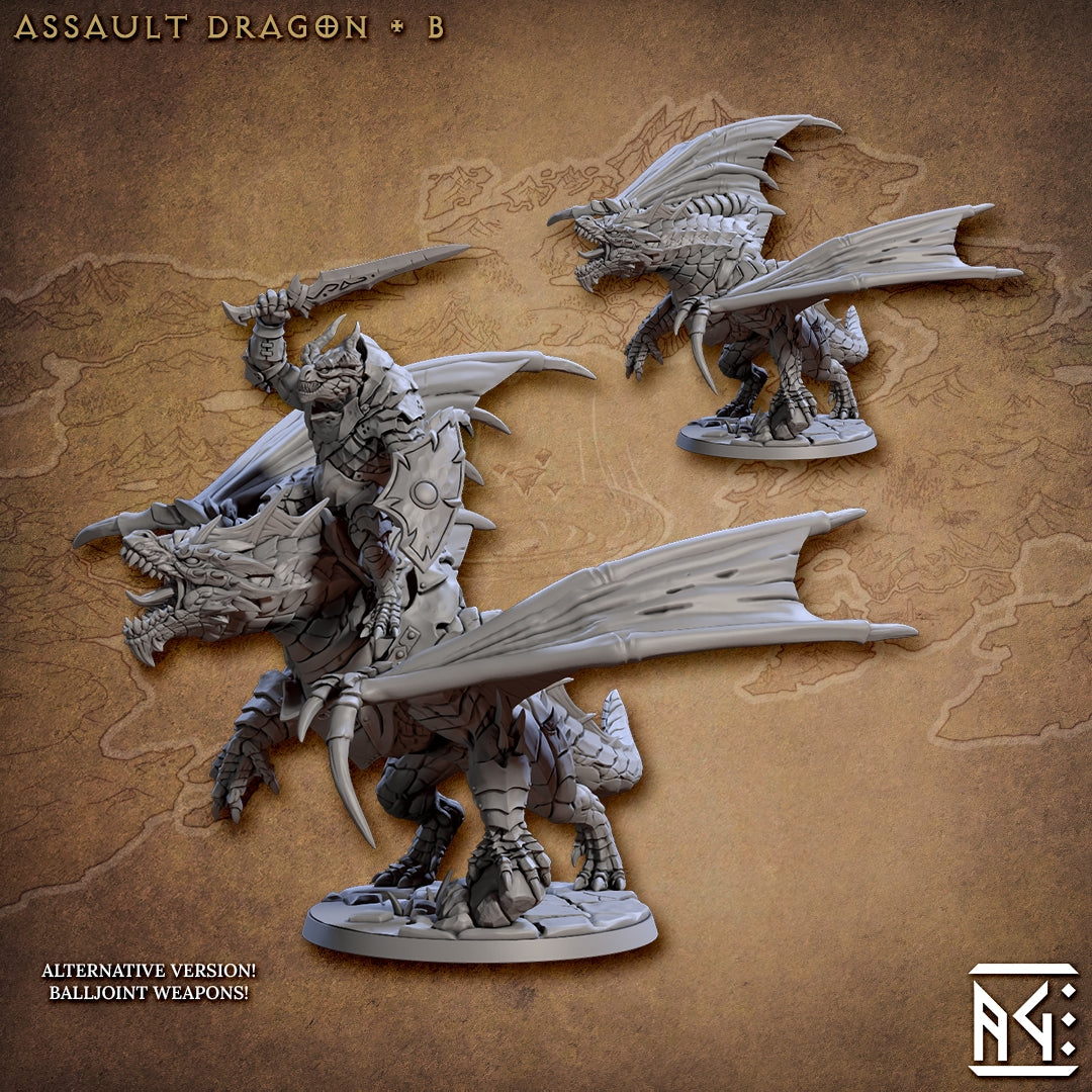 Assalut Dragon & Dragonrider B