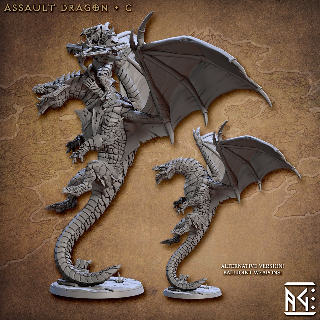 Assalut Dragon & Dragonrider C