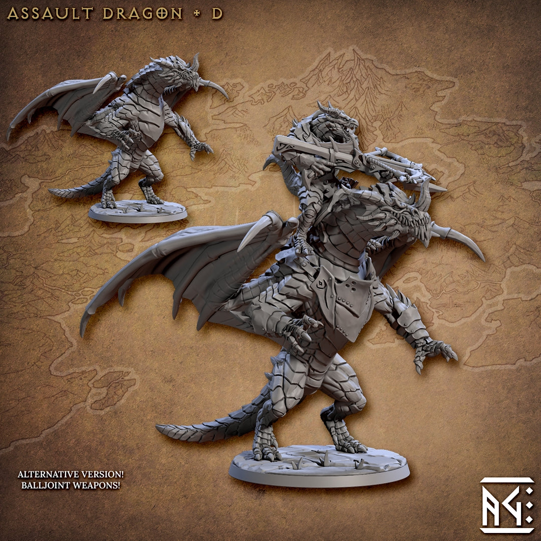 Assalut Dragon & Dragonrider D