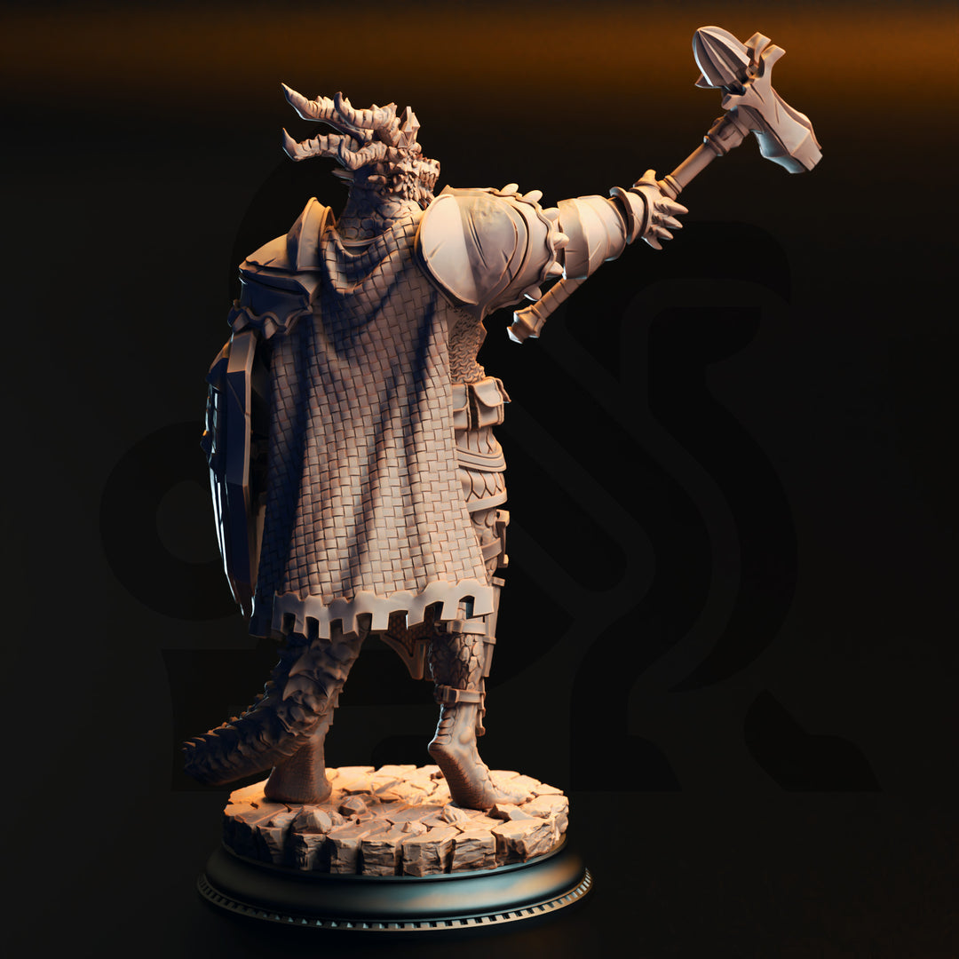 Le roi