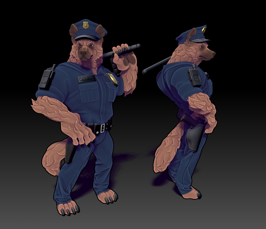 K9 Officer