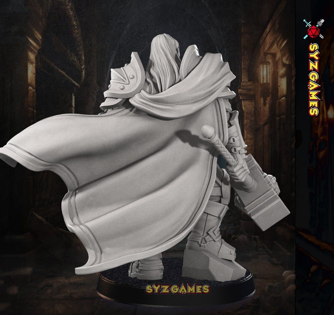 Human Prince Paladin